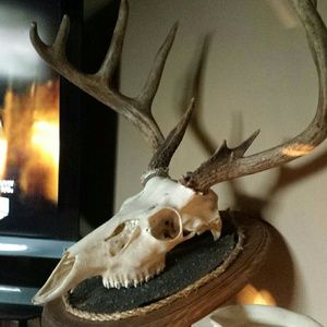 Meet your Posher, Tabitha