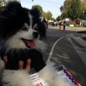 Meet your Posher, Grace