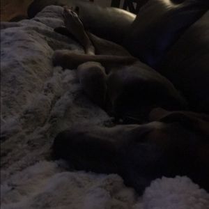 Meet your Posher, Katie