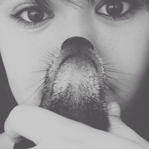 Meet your Posher, Alice