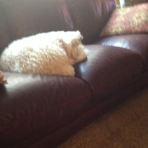 Meet your Posher, Beth