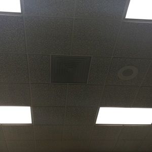 Meet your Posher, Karli