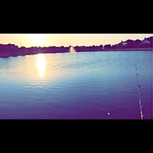 Meet your Posher, Lacey