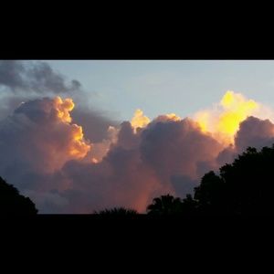 Meet your Posher, Sasha