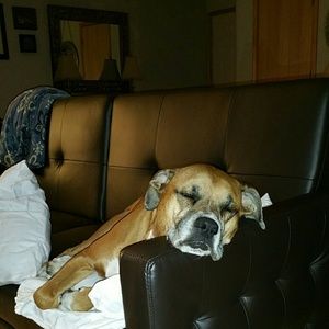 Meet your Posher, Maria