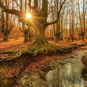 Meet your Posher, Roxann