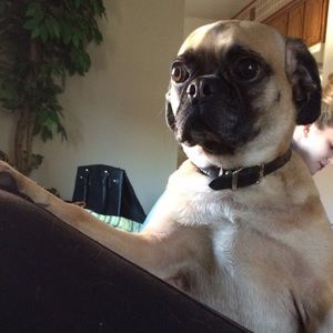 Meet your Posher, Michaela