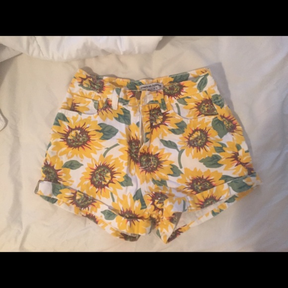American Apparel High Waist Daisy Shorts