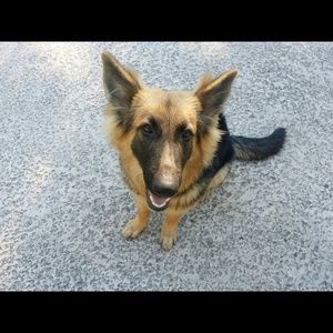 Meet your Posher, Mayra