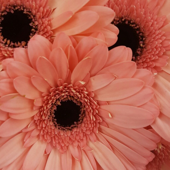 Meet your Posher, Jess