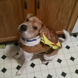 Meet your Posher, Bethany