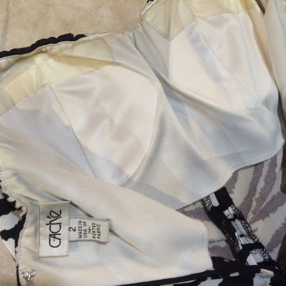 Cache Dress - Picture 3 of 4