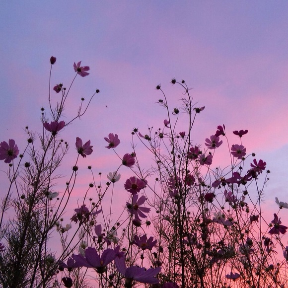 bundle for @adorableloan 👗💜✨