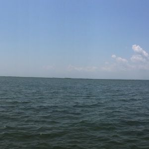 Meet your Posher, Mackenzie