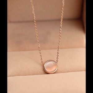 New!! Rose/golde plated titanium steel necklaces