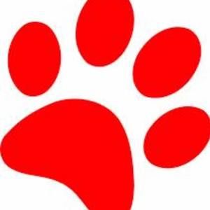 Meet your Posher, Jolene-mychal