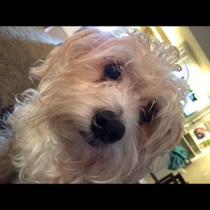 Meet your Posher, Sherry