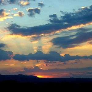 Meet your Posher, Terri