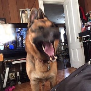 Meet your Posher, Jamie