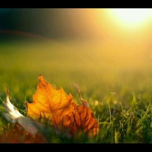 Meet your Posher, Ladonna