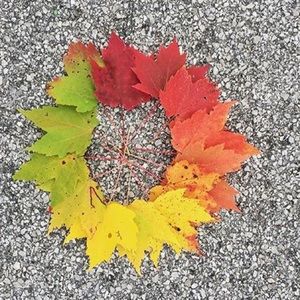 Meet your Posher, Hope