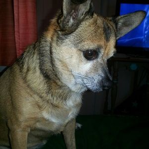 Meet your Posher, Jenelle