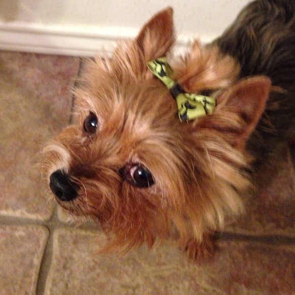 Meet your Posher, Samantha