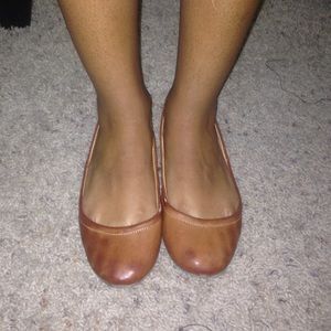 Brown flats