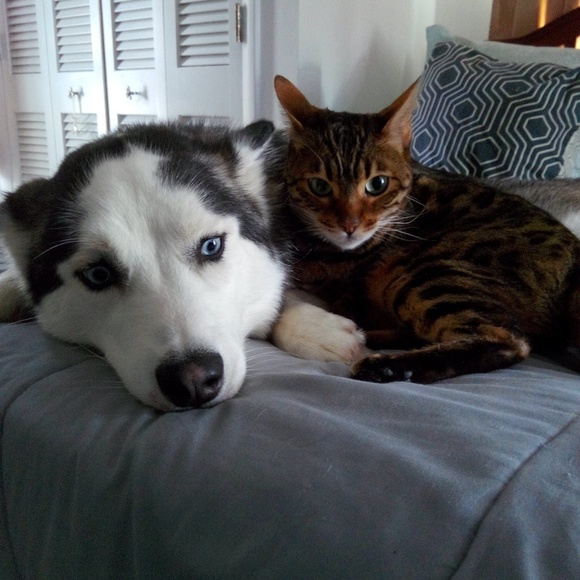 Meet your Posher, Heather