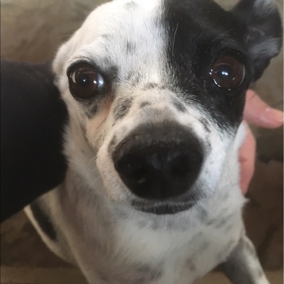 Meet your Posh Ambassador, Kathrine!! 🌻🌷 - Picture 6 of 6