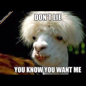 Meet your Posher, Marie