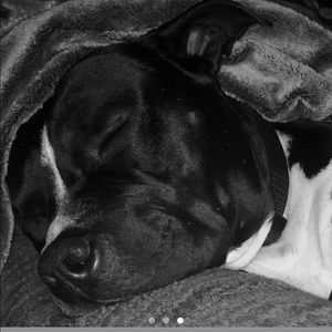 Meet your Posher, Marie