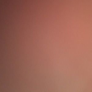 Meet your Posher, Delaney