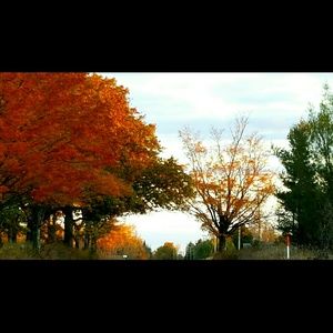 Meet your Posher, Jan