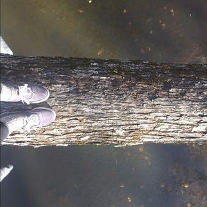 Meet your Posher, Rose