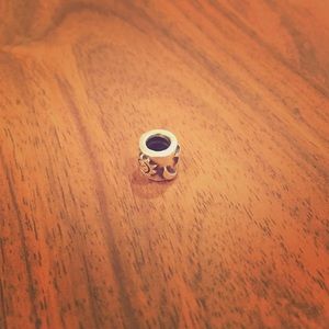 Celestial Pandora Charm