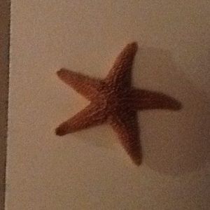 Meet your Posher, Peg