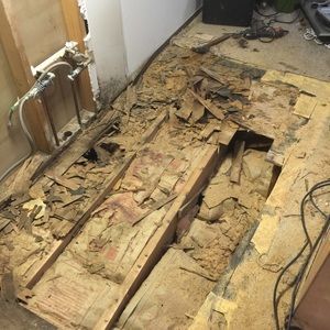 Meet your Posher, Drew