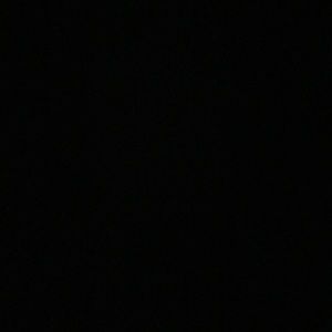 Meet your Posher, Bella