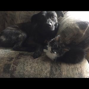 Meet your Posher, Cassie