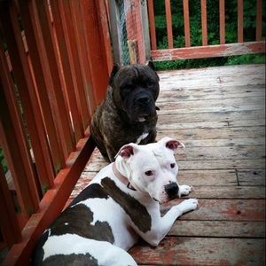 Meet your Posher, Ashleigh