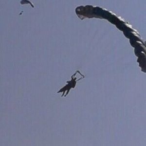 Meet your Posher, Jolene