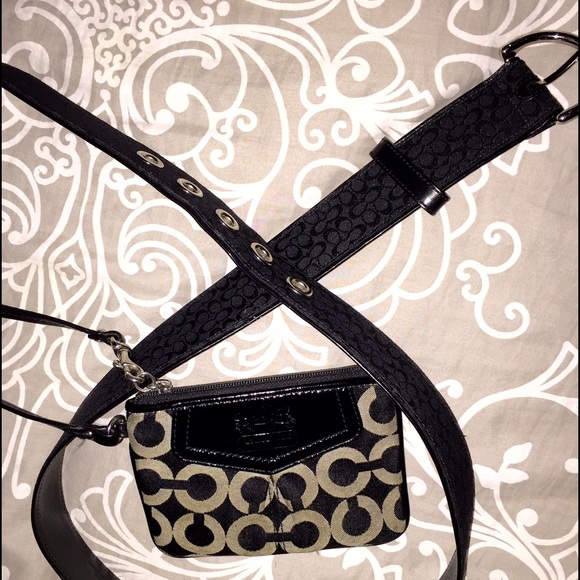 Coach belt