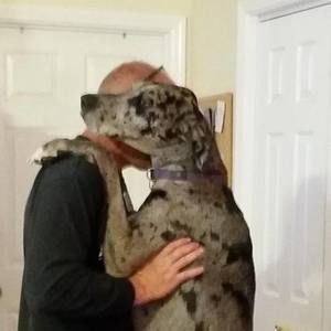 Meet your Posher, Roberta