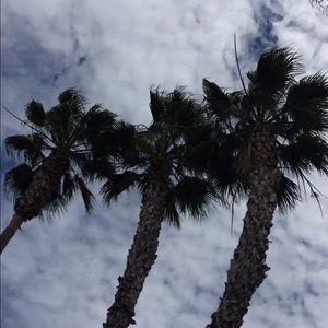 Meet your Posher, Avery