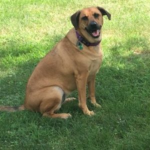 Meet your Posher, Brit