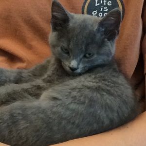 Meet your Posher, Macy