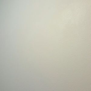 Meet your Posher, Dawit