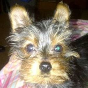 Meet your Posher, Mary