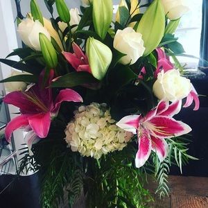 Meet your Posher, Shelby